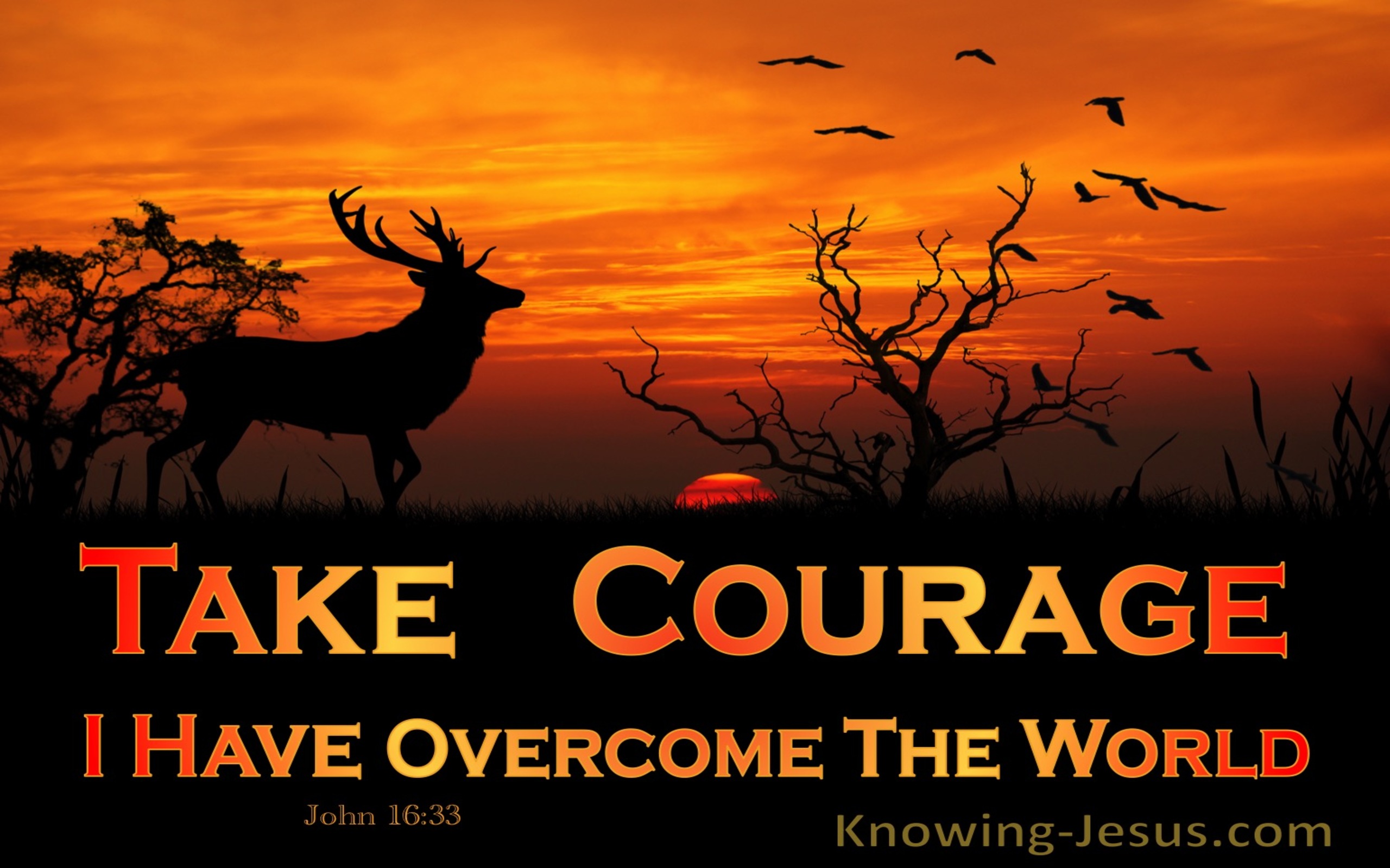 John 16:33 Take Courage I Have Overcome The World (orange)